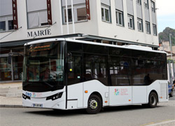 bus