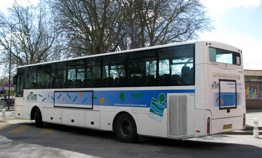 Scoler 2 - Tim